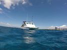 Hawaii Scuba divng 32