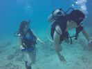 Hawaii Scuba divng 39