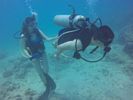 Hawaii Scuba divng 40