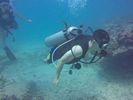 Hawaii Scuba divng 41