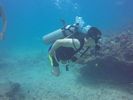 Hawaii Scuba divng 42