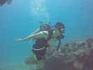 Hawaii Scuba divng 44