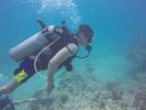 Hawaii Scuba divng 49