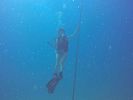Hawaii Scuba divng 09