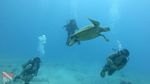 Honolulu scuba 36