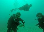 Hawaii Scuba divng 33