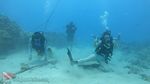 Hawaii Scuba  12