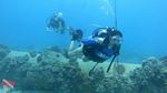 Hawaii Scuba  24