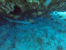 Hawaii Scuba divng 17
