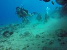 Hawaii Scuba divng 19