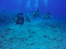 Hawaii Scuba divng 21