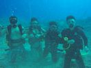 Hawaii Scuba divng 32