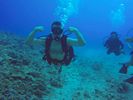 Hawaii Scuba divng 35