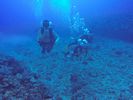 Hawaii Scuba divng 36