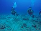 Hawaii Scuba divng 40