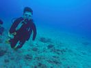 Hawaii Scuba divng 41