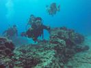 Hawaii Scuba divng 47