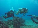 Hawaii Scuba divng 48
