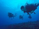 Hawaii Scuba divng 51