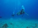 Hawaii Scuba divng 56