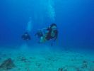 Hawaii Scuba divng 57