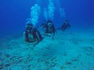 Hawaii Scuba divng 59