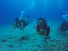 Hawaii Scuba divng 05