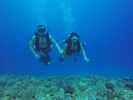 Hawaii Scuba divng 60