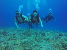 Hawaii Scuba divng 61