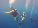 Hawaii Scuba divng 63