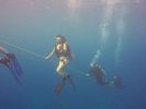 Hawaii Scuba divng 64