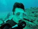 Hawaii Scuba divng 84