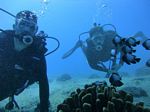 Hawaii Scuba divng 16