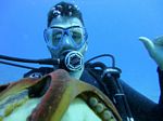 Hawaii Scuba divng 19