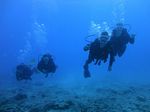 Hawaii Scuba divng 28