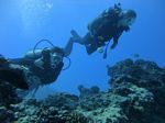 Hawaii Scuba divng 35