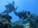 Hawaii Scuba divng 36