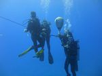 Hawaii Scuba divng 37