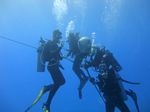 Hawaii Scuba divng 38