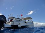 Hawaii Scuba divng 03