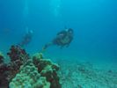 Hawaii Scuba divng 10