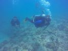 Hawaii Scuba divng 15