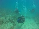 Hawaii Scuba divng 17