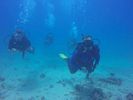 Hawaii Scuba divng 01