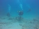 Hawaii Scuba divng 21