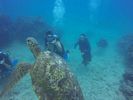 Hawaii Scuba divng 25