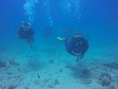 Hawaii Scuba divng 02