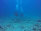 Hawaii Scuba divng 39