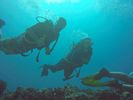 Hawaii Scuba divng 03