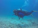 Hawaii Scuba divng 40